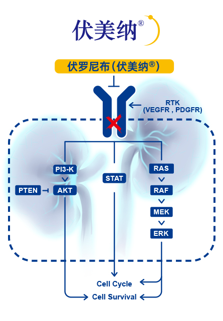 伏美納-2.jpg